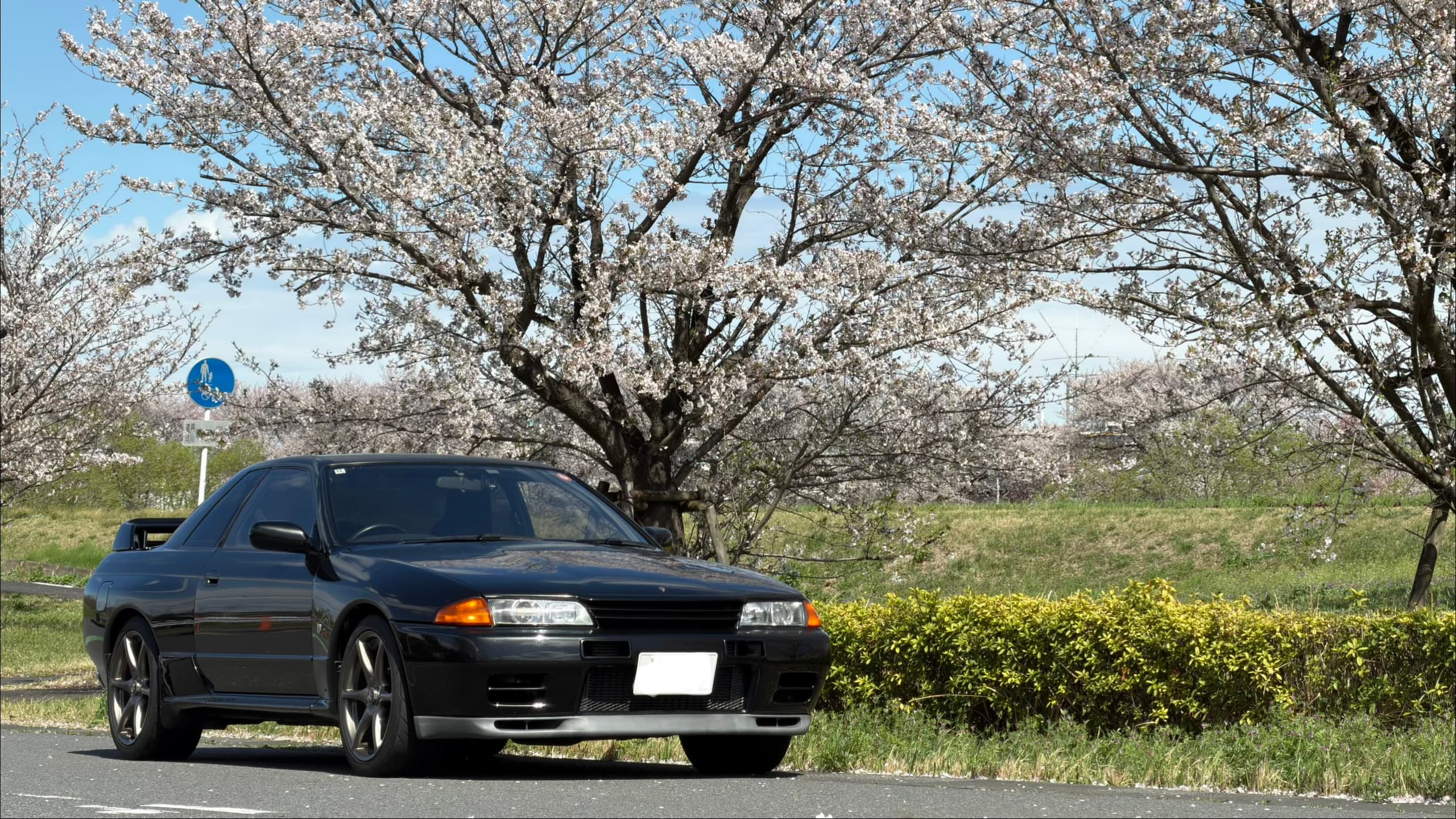 桜を背景にした BNR32